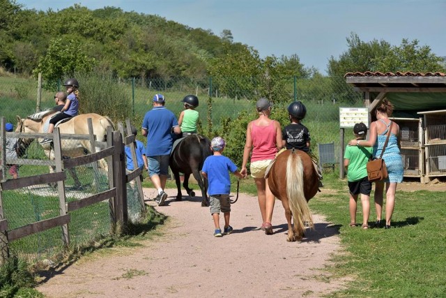 TOP 10 des fermes pédagogiques en France Tiniloo