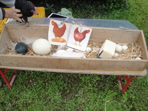 TOP 10 des fermes pédagogiques en France