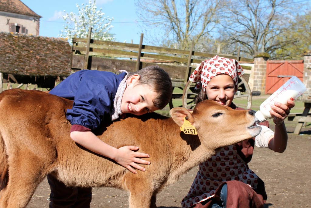 Top 10 Des Fermes Pédagogiques En France Tiniloo 5837