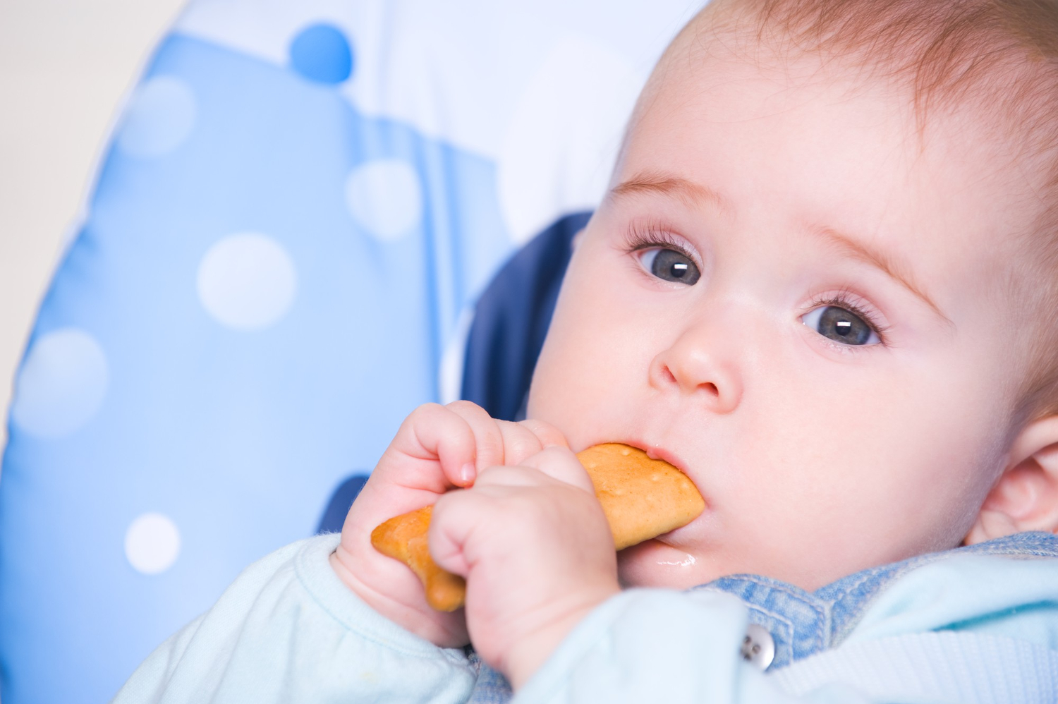 À quel âge démarrer les biscuits pour bébé ?