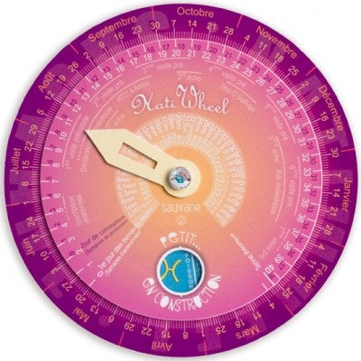 Comment fonctionne un disque de grossesse ?