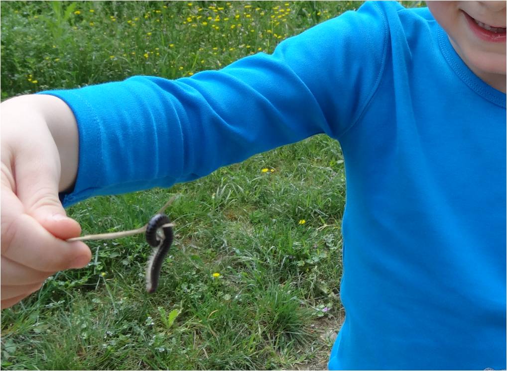 Petites bêtes et enfants : passion ou répulsion ?!