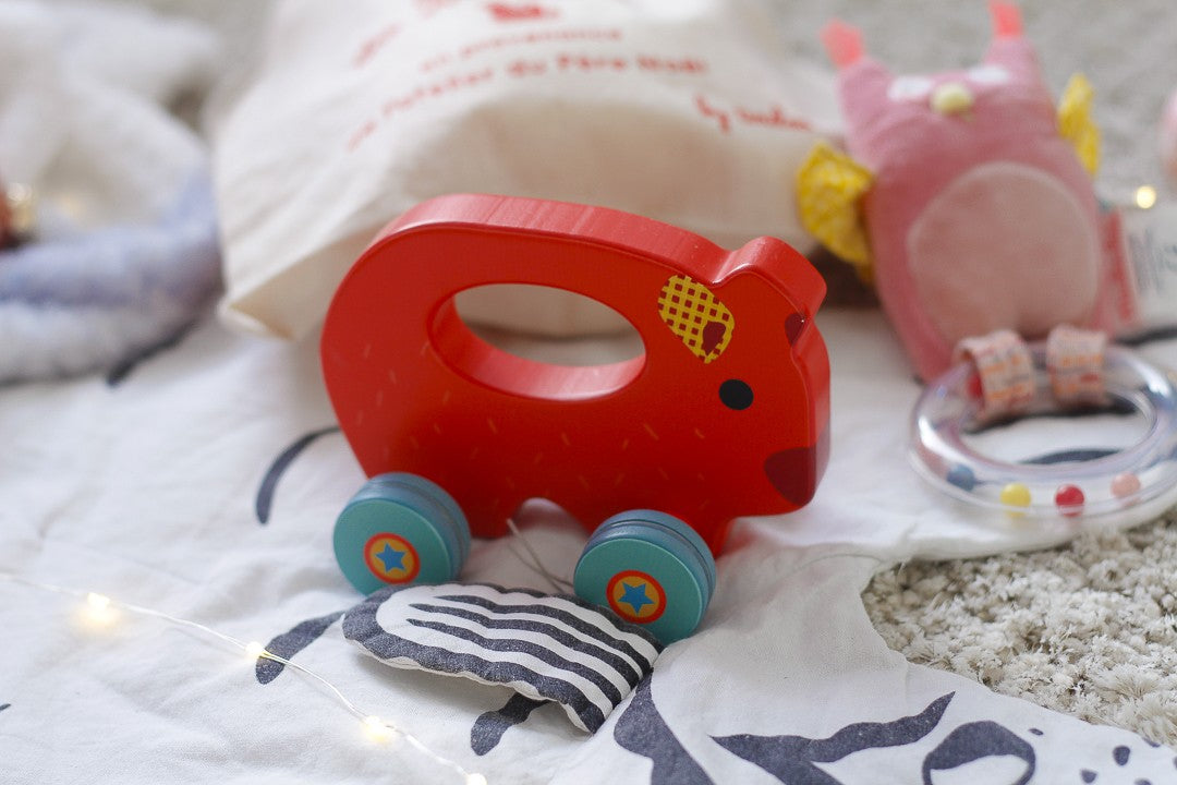 Jouet à pousser Gaston