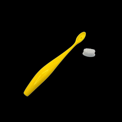 Brosse à dents rechargeable