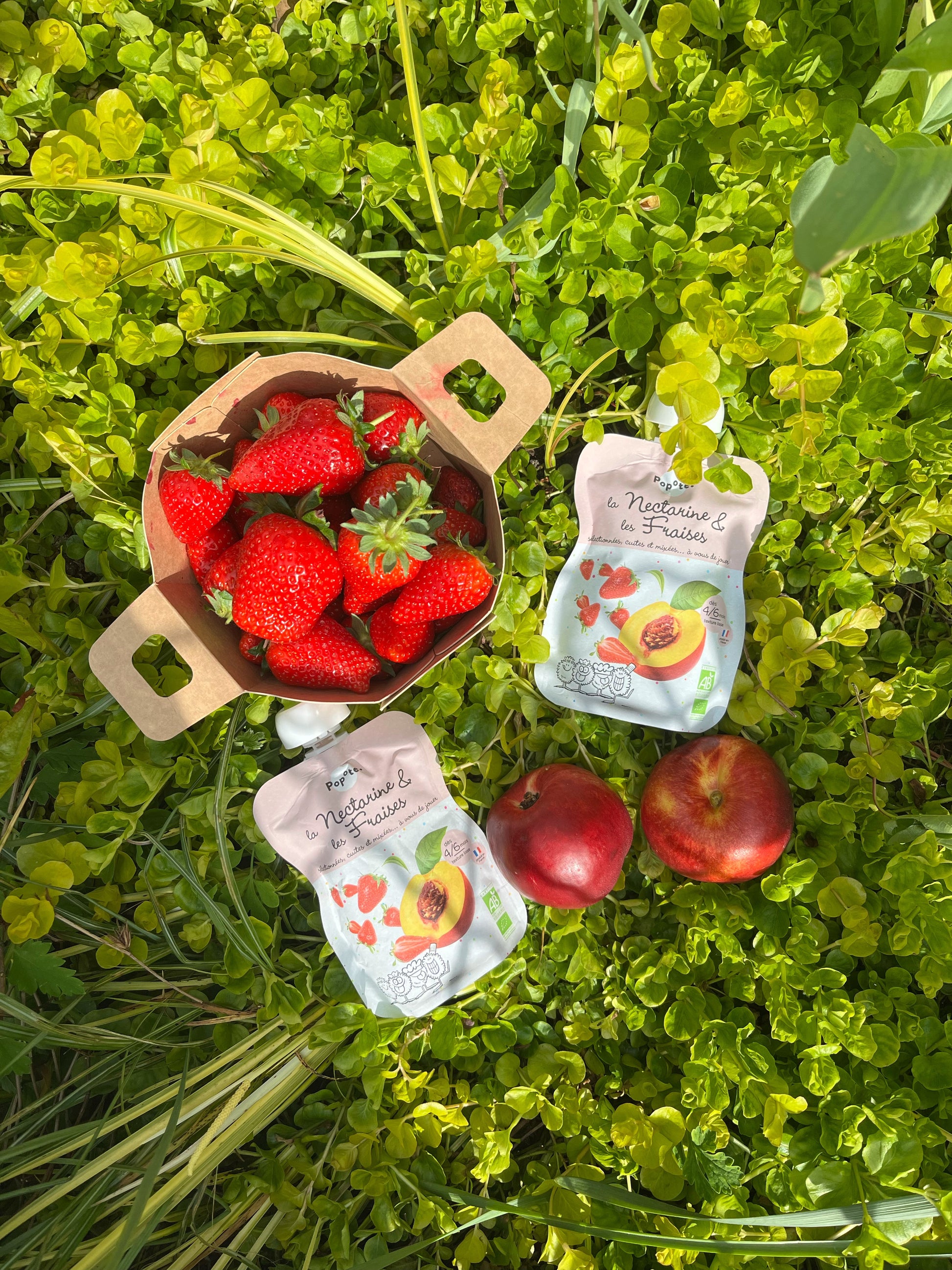 Compote nectarine fraises