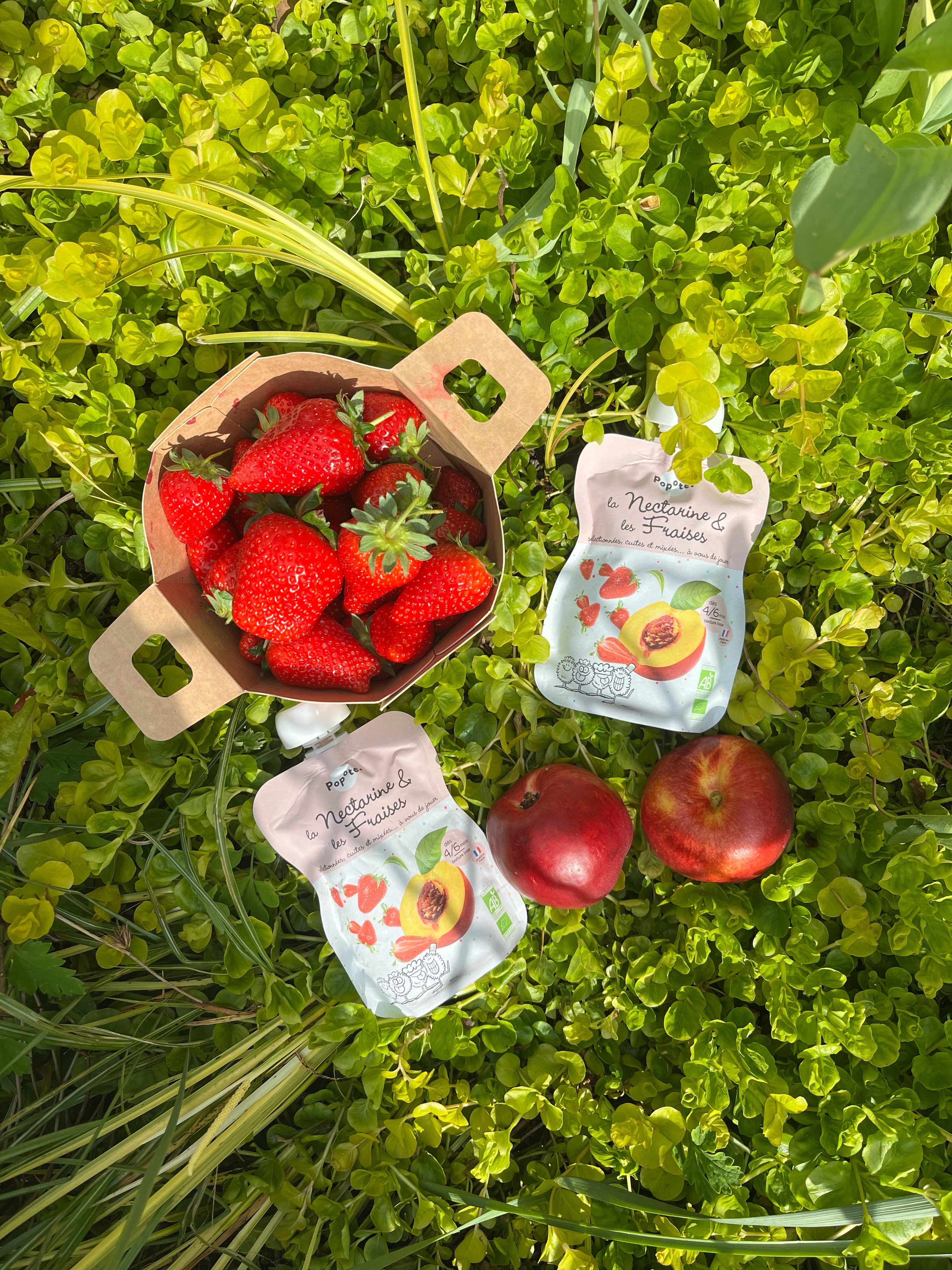 Compote nectarine fraises