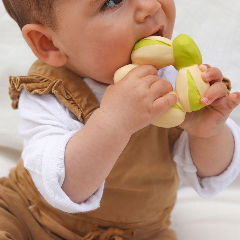 Patricio the Pistachio Jouet Dentition Bébé