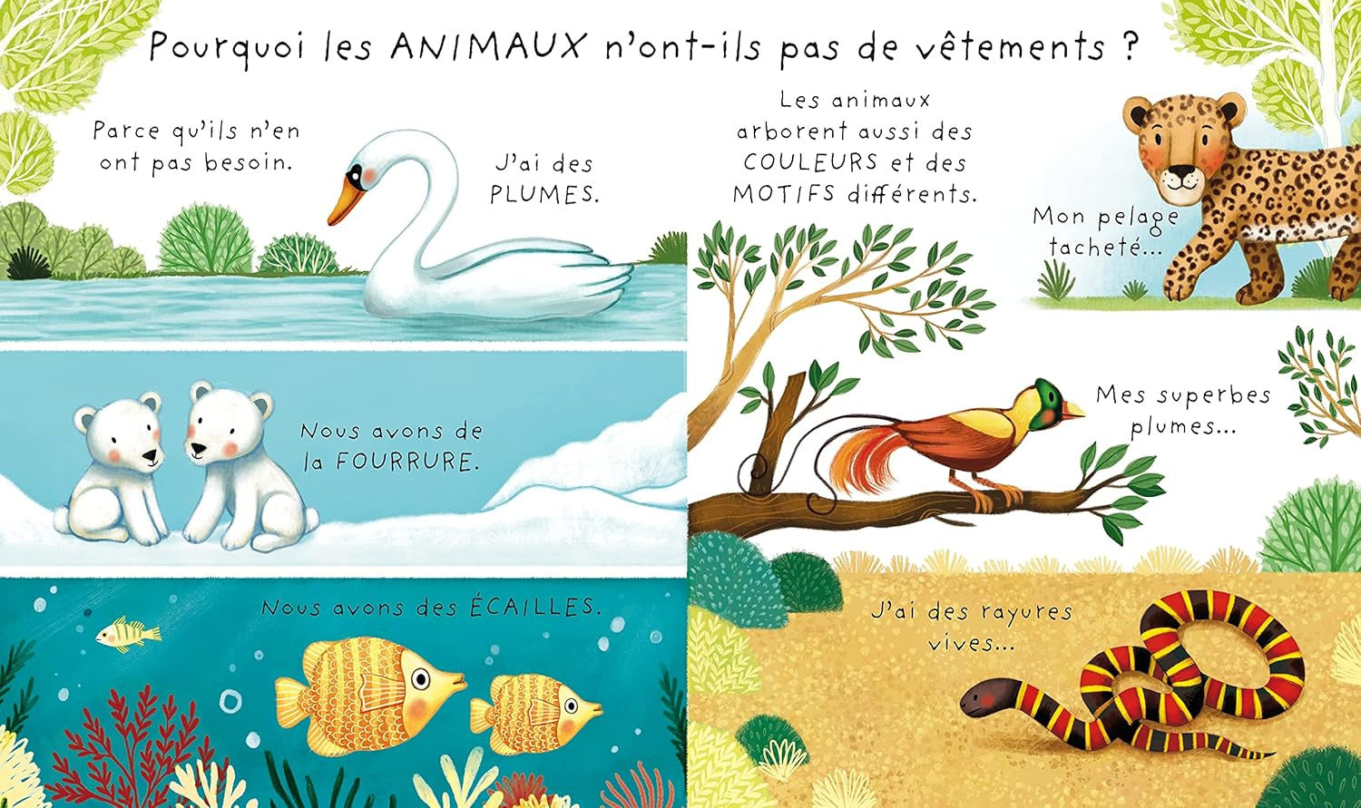 Pourquoi je dois m'habiller ? - C'est quoi... ?