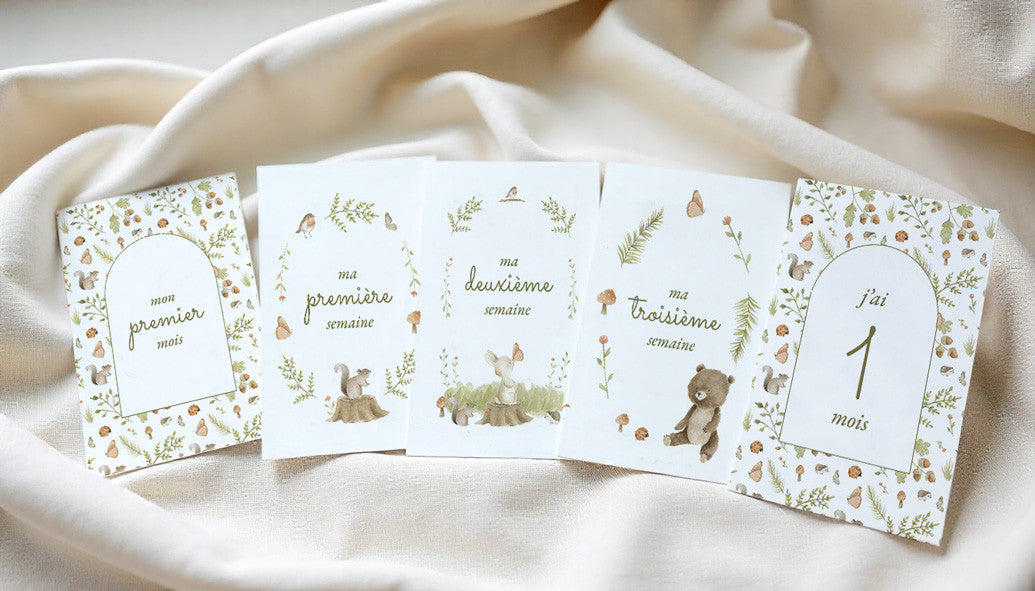 Cartes étapes "Animaux de la Forêt" : de doux souvenirs à conserver