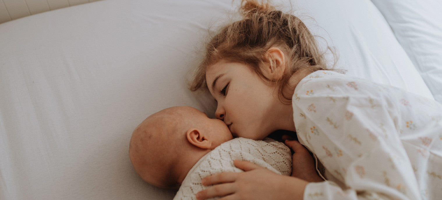 Cartes étapes "Animaux de la Forêt" : de doux souvenirs à conserver