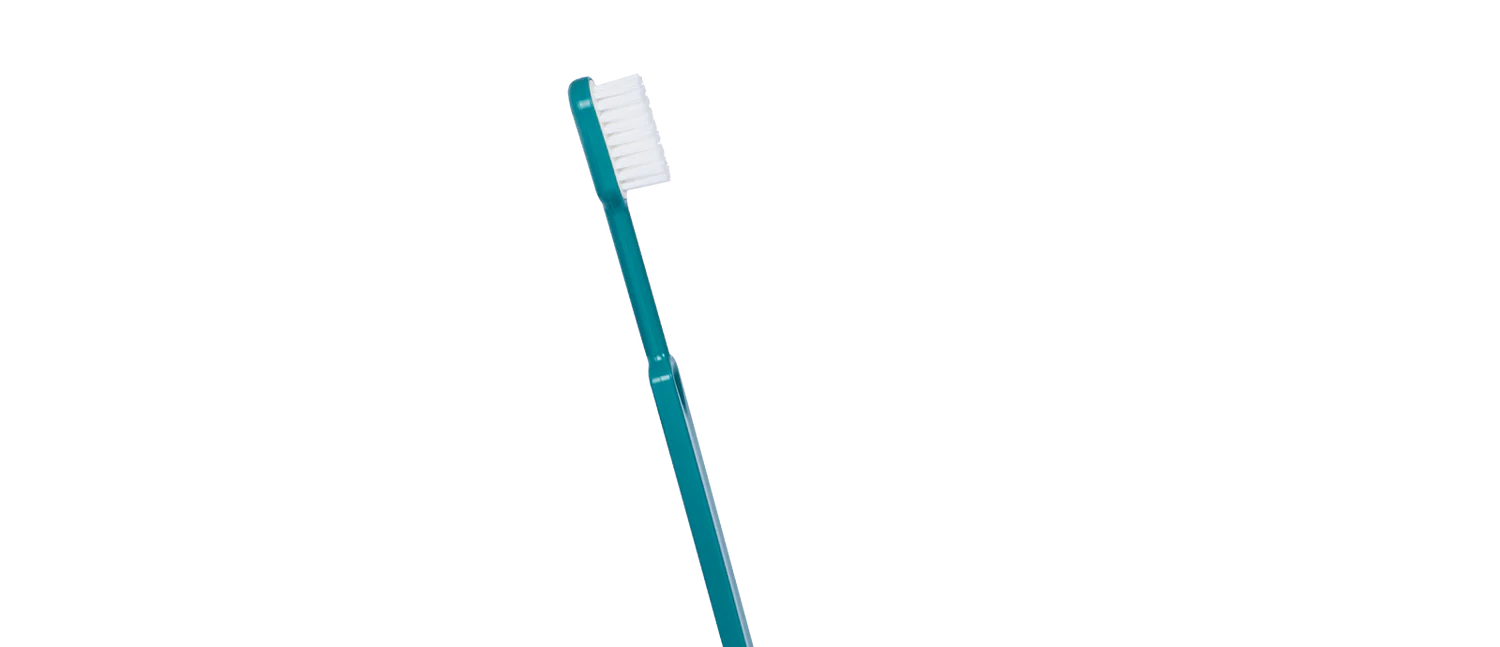 Brosse à dents rechargeable