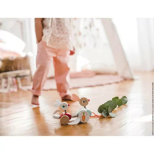 Lapins à Promener en Bois