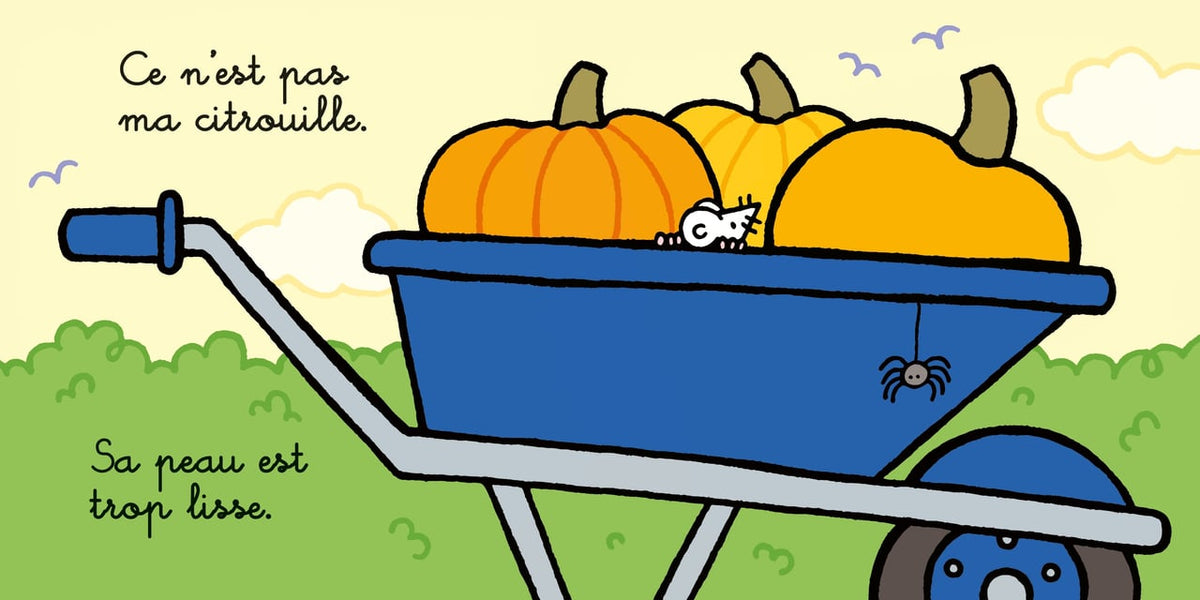 Où est ma citrouille ?